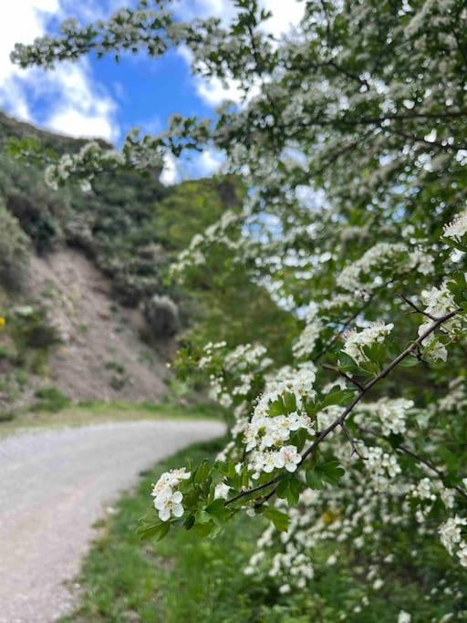 El Hoyaco Villa Los Espejos de la Reina Dış mekan fotoğraf